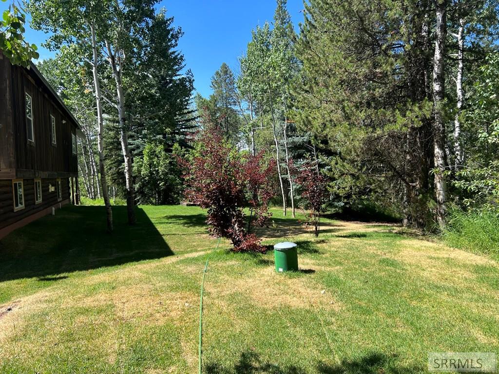 Property 2176943 - Photo 94